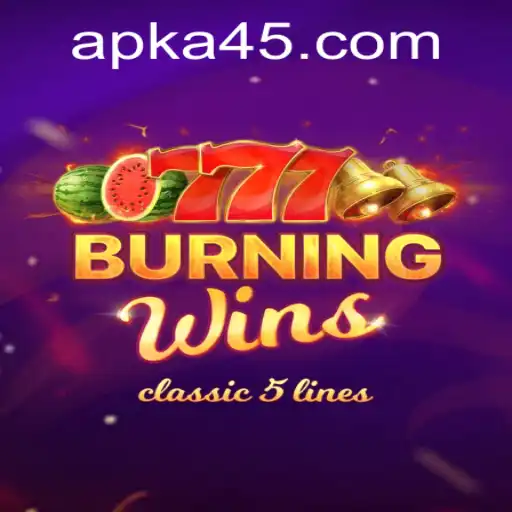 The Exciting World of BurningWins